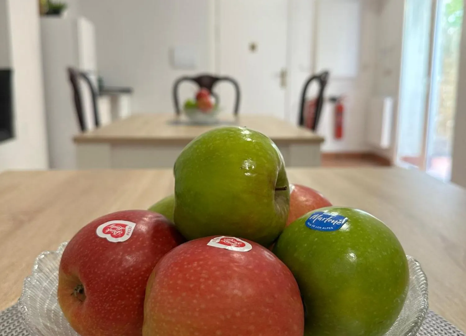 Urban Garden Bilbao Hostel Spain